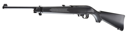 Ruger 10/22 Air Rifle